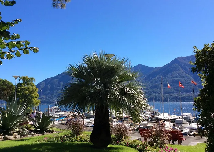 Bellaterra A By Fewotessin