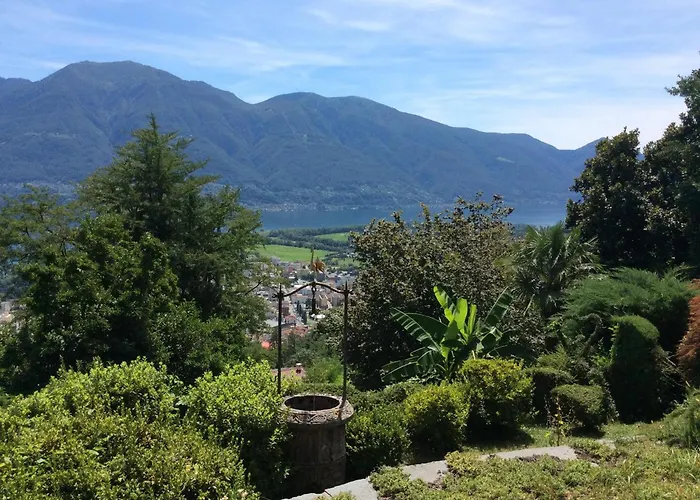 Bellaterra A By Fewotessin