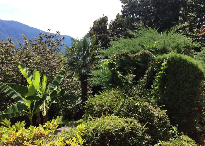 Bellaterra A By Fewotessin * 로카르노